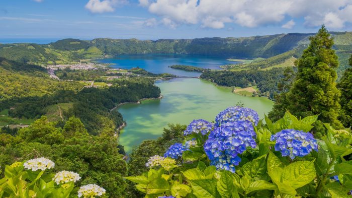 Miguel sao azores island do portugal path things hydrangeas